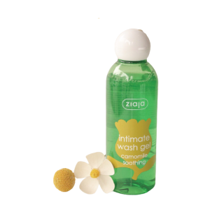 Cúc La Mã Dịu Nhẹ